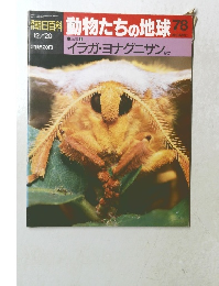 朝日百科　動物たちの地球　78　12/20号