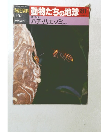朝日百科　動物たちの地球　81　1/17号