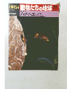 朝日百科　動物たちの地球　81　1/17号