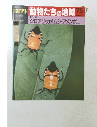 朝日百科　動物たちの地球　75　11月29日号
