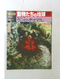 朝日百科　動物たちの地球　66　9月27日号　ウニ・ヒトデ・ナマコ