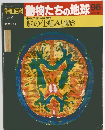 朝日百科　動物たちの地球　96　5/2号