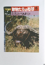 朝日百科　8/11号　動物たちの地球8