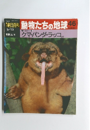 朝日百科　動物たちの地球　46　5月10日号　クマ・パンダ・ラッコ
