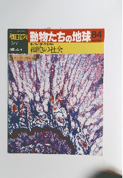 朝日百科　動物たちの地球　84　2/7号