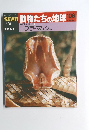 朝日百科　7/11号　動物たちの地球106