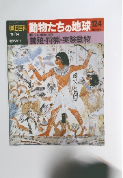 朝日百科 動物たちの地球 124