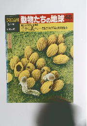 朝日百科 動物たちの地球 48