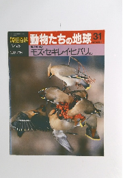 朝日百科　1/26号　動物たちの地球31　モズ・セキレイ・ヒバリ