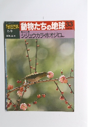 動物たちの地球33
