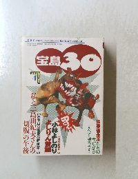 宝島30　1996年4月号