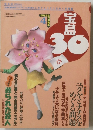 宝島　1995年4月号