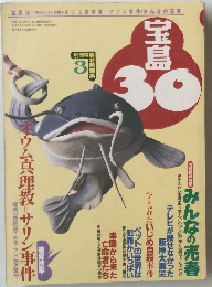 宝島30　1995年3月号