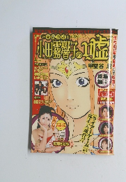 小田霧響子の嘘