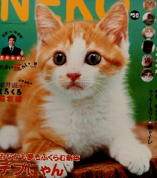 NEKO　５６号　２月号
