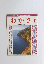　わかさ 1991 11