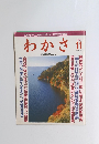 　わかさ 1991 11