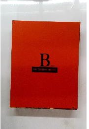 Bruegel　THE WORLD OF BRUEGEL