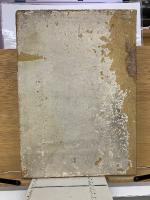 日本性的風俗辞典