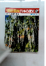 朝日百科日本の歴史131　現代 10　地球と日本