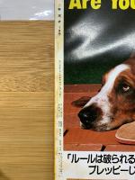 ジャムジャム野球界　1981年7月号