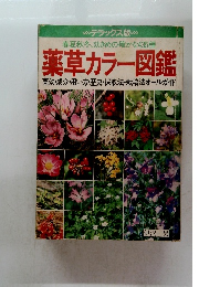 薬草カラー図鑑