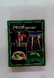 科学のアルバム13 アサガオ