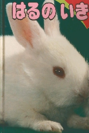 1年生 はるのいきものずかん