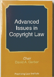 Advanced Issues in Copyright Law
