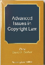 Advanced Issues in Copyright Law