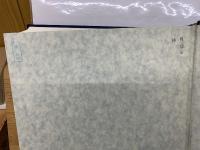 嘉納治五郎大系 別巻 柔道試合記録