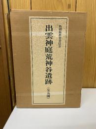 出雲神庭荒神谷遺跡　全5冊揃