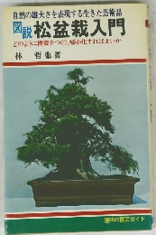 図説松盆栽入門　自然の雄大さを表現する生きた芸術品