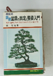 図説盆栽の剪定と整姿入門