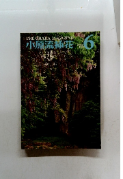 小原流挿花  1978年6月号　