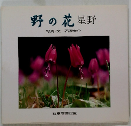 野の花星野　写真・文石原大介