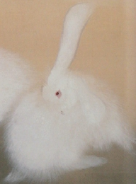 趣味の水墨画　2011年1月号