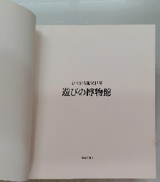 ひろがる視覚世界　遊びの博物館