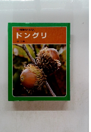 科学のアルバム　ドングリ