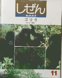 しぜん キンダーブック ゴリラ　11