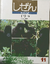 しぜん キンダーブック ゴリラ　11