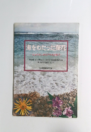 海をわたった華花　ヒョウタンからアサガオまで