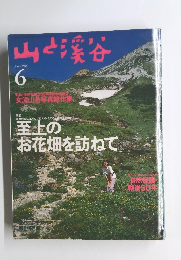 山と渓谷　1995年6月号