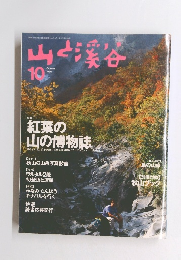 山と渓谷　1996年10月
