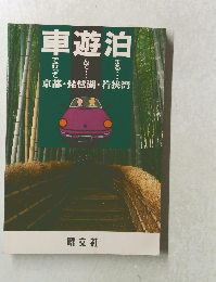 車遊泊