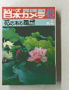 シリーズ百本カメラ　No.49　1981年冬号　花のある風景