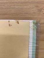 指圧療法入門　あなたの健康と繁栄のために