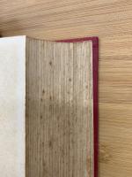 近代犯罪科学全集