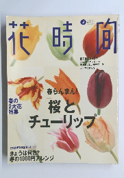 花時向　1997年4月号