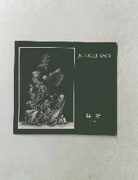 JUNICHI　YAGI　無明　1971-1992
